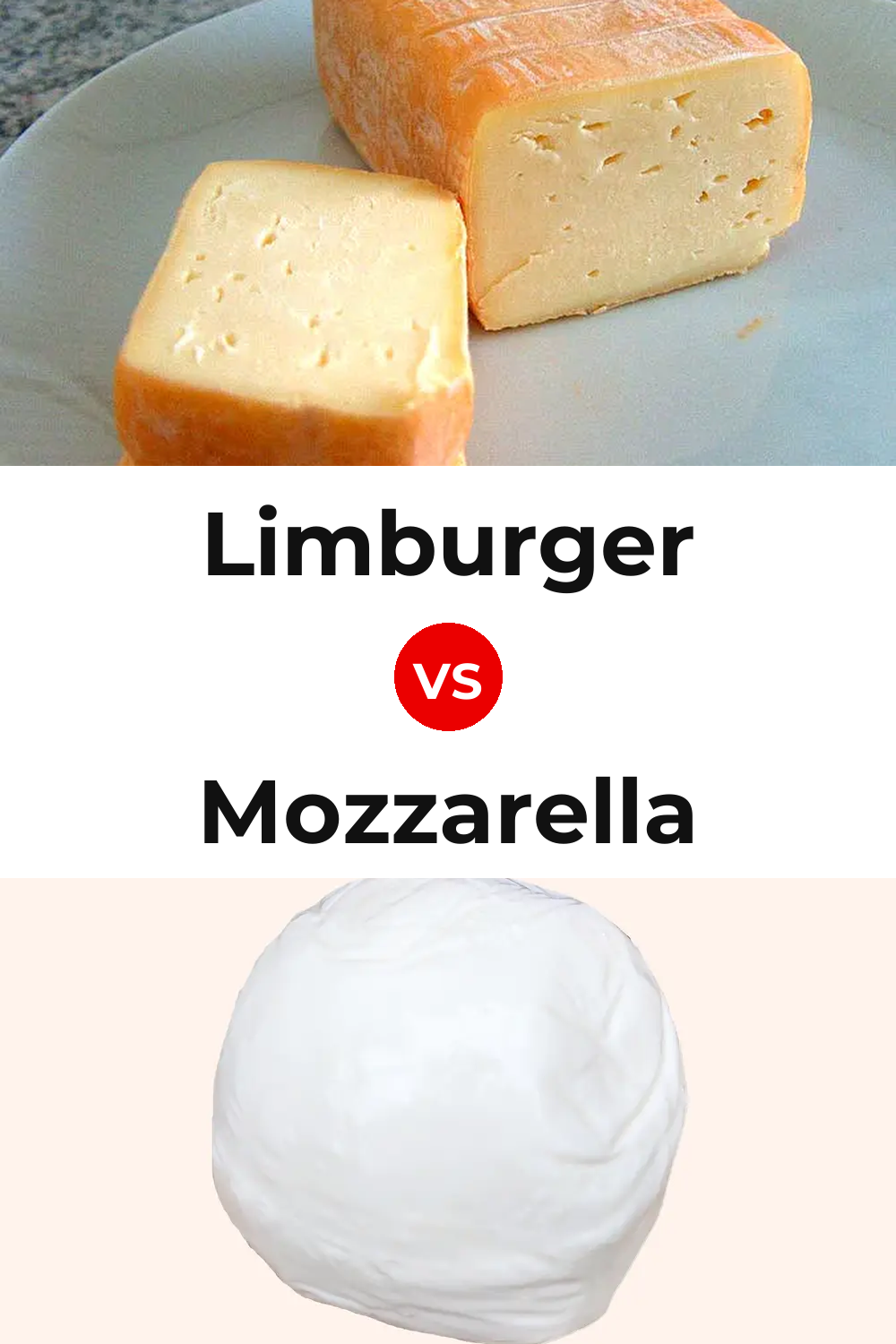 Limburger Cheese vs Mozzarella Cheese Pinterest comparison