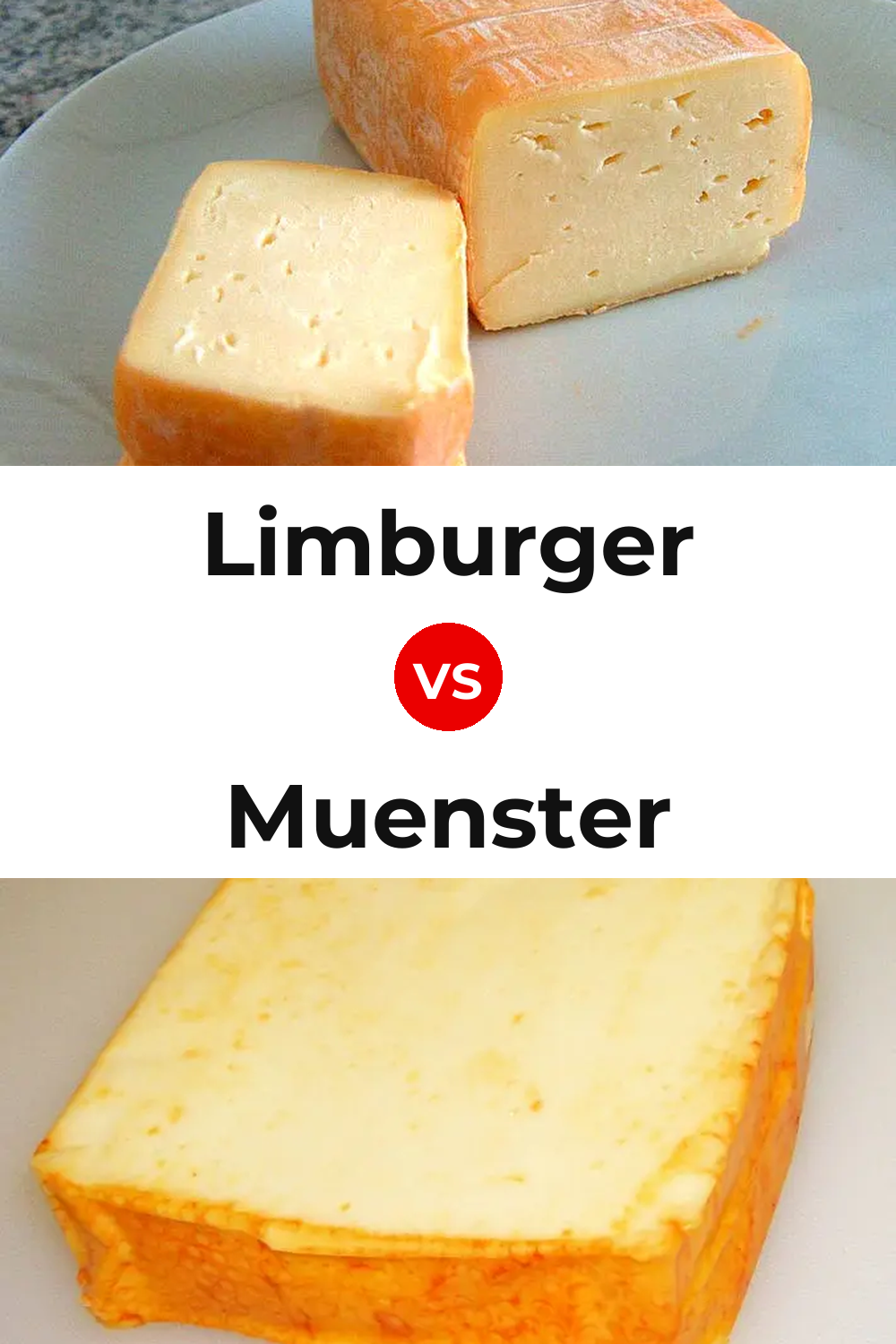 Limburger Cheese vs Muenster Cheese Pinterest comparison