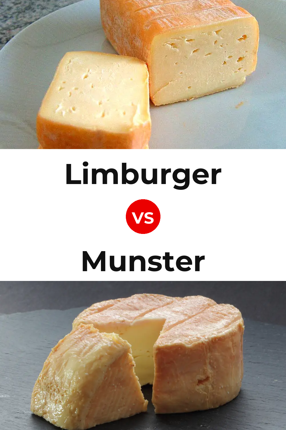 Limburger Cheese vs Munster Cheese Pinterest comparison