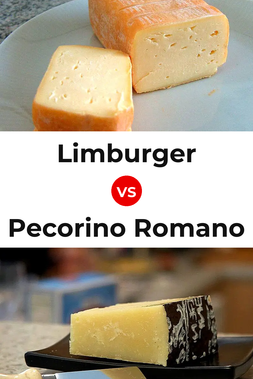 Limburger Cheese vs Pecorino Romano Cheese Pinterest comparison