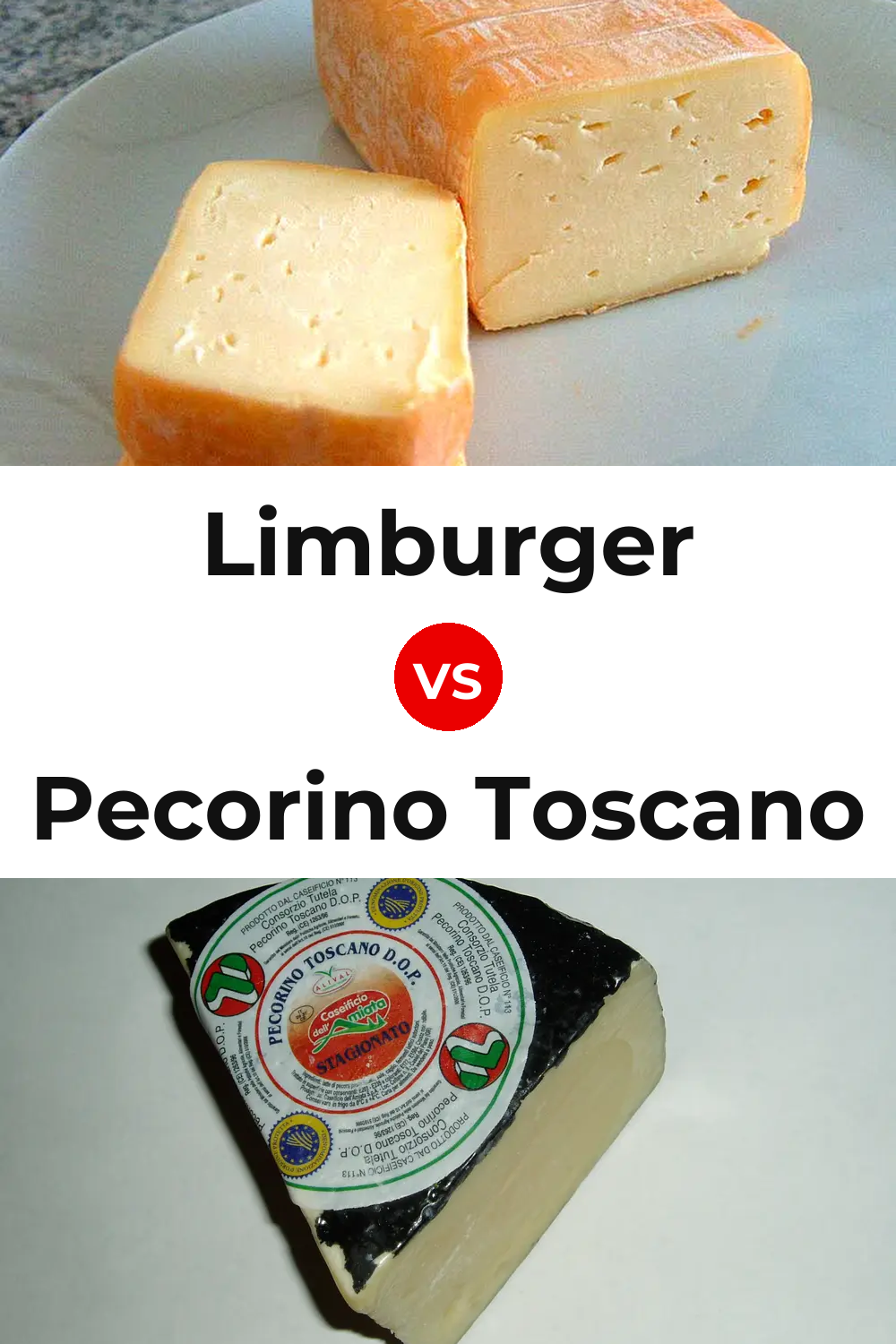 Limburger Cheese vs Pecorino Toscano Cheese Pinterest comparison
