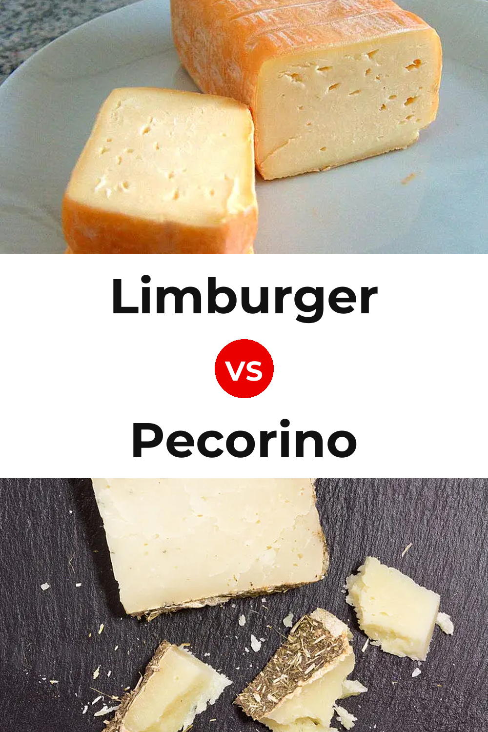 Limburger Cheese vs Pecorino Cheese Pinterest comparison