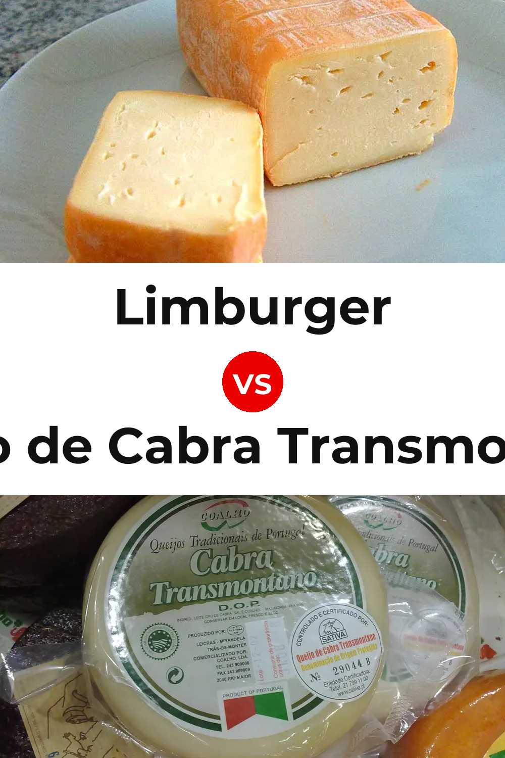 Limburger Cheese vs Queijo de Cabra Transmontano Pinterest comparison