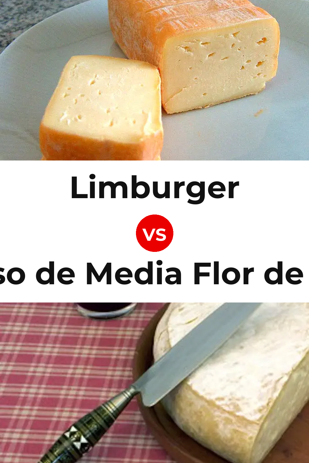 Limburger Cheese vs Queso de Media Flor de Guía Pinterest comparison