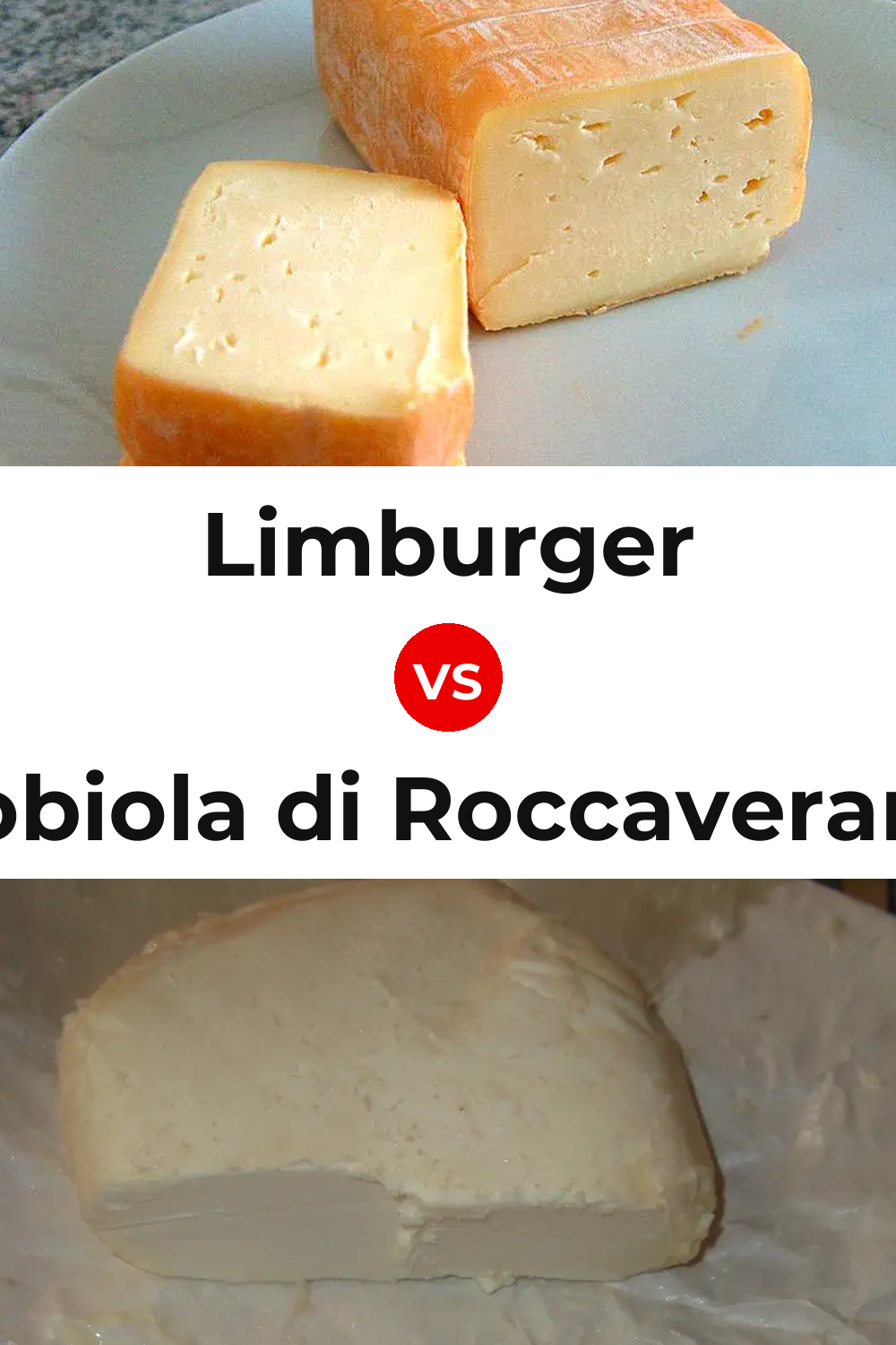 Limburger Cheese vs Robiola di Roccaverano Cheese Pinterest comparison