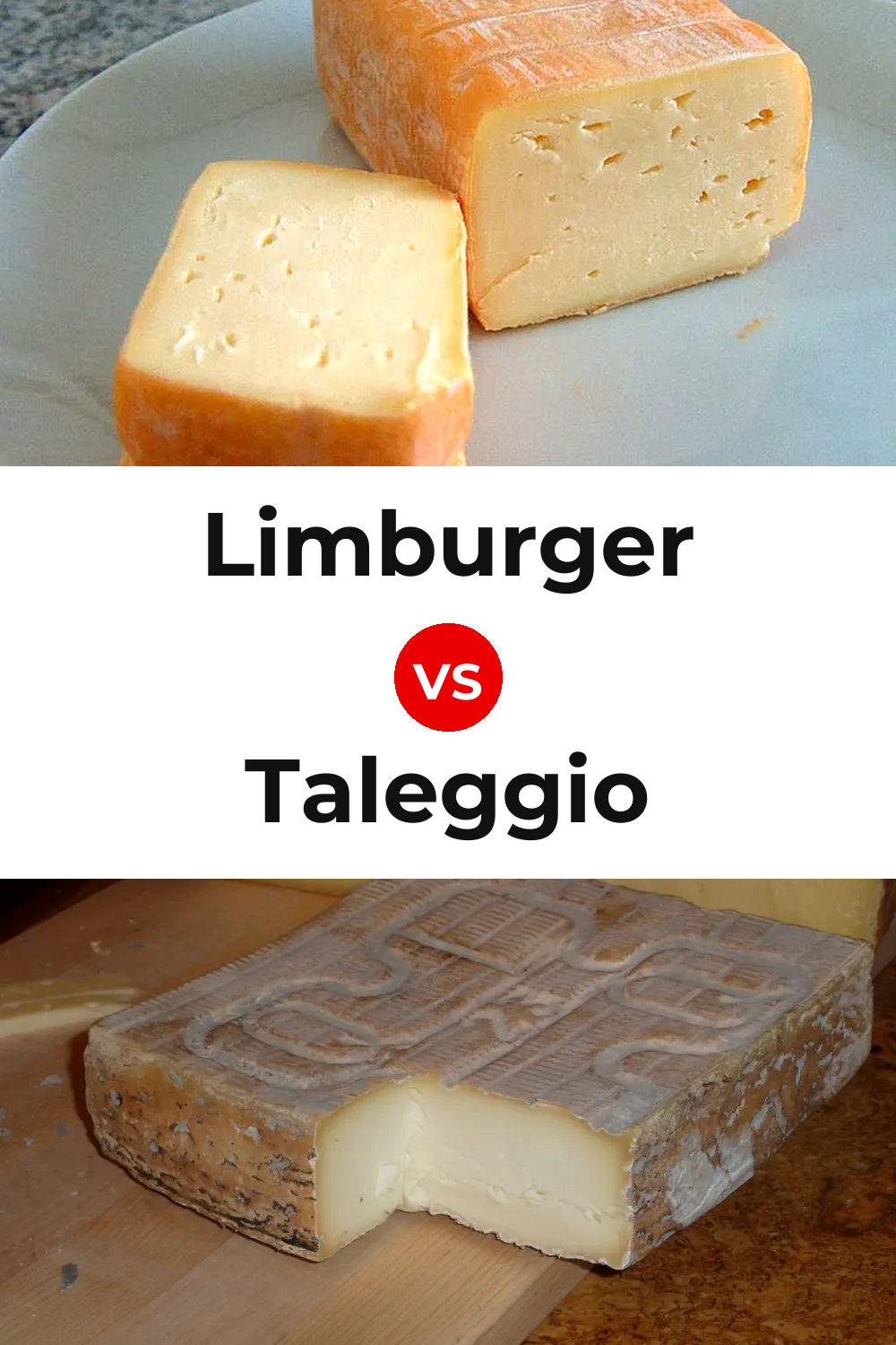 Limburger Cheese vs Taleggio Cheese Pinterest comparison