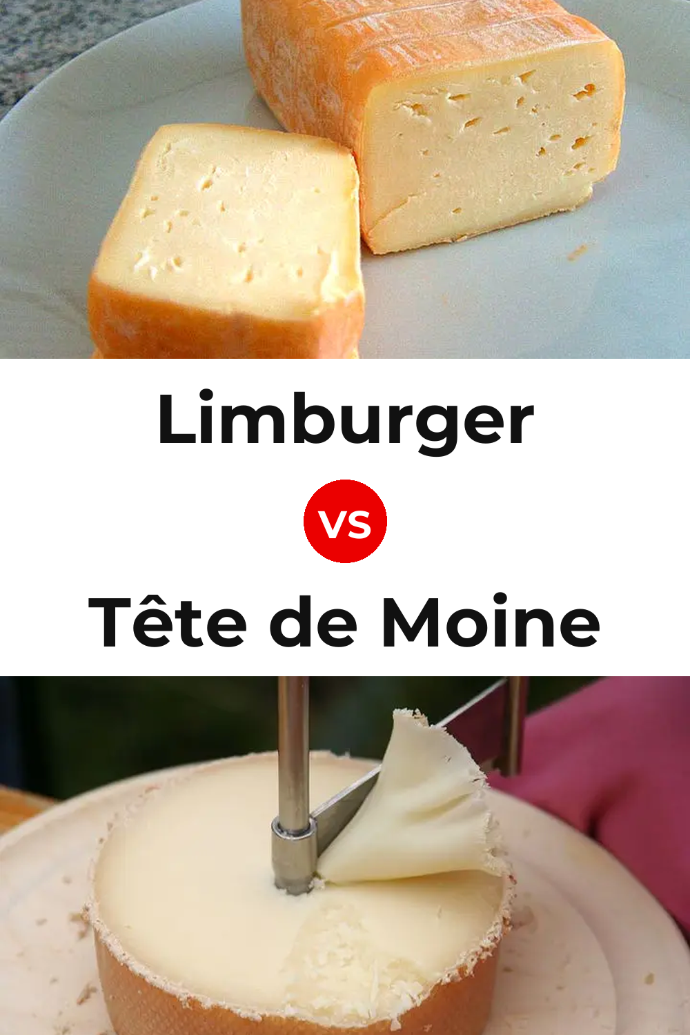 Limburger Cheese vs Tête de Moine Cheese Pinterest comparison