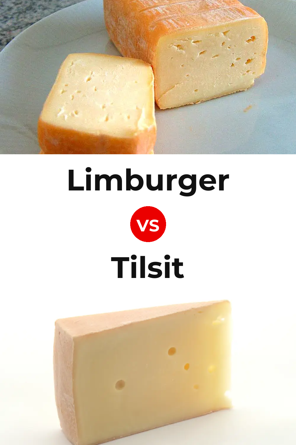 Limburger Cheese vs Tilsit Cheese Pinterest comparison