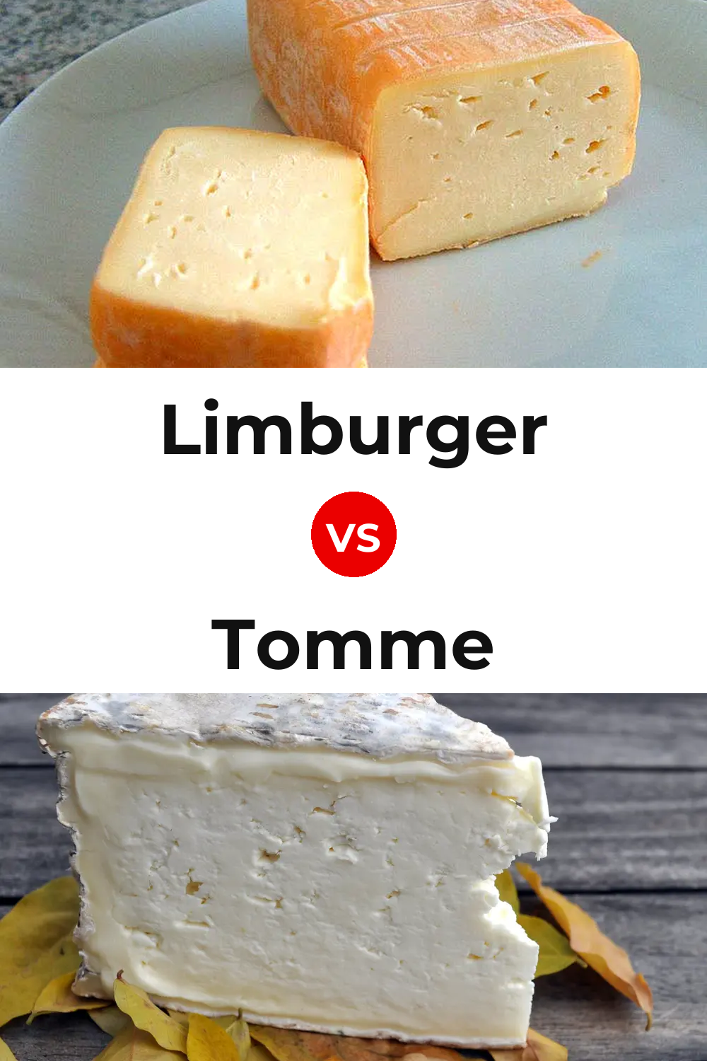 Limburger Cheese vs Tomme Cheese Pinterest comparison