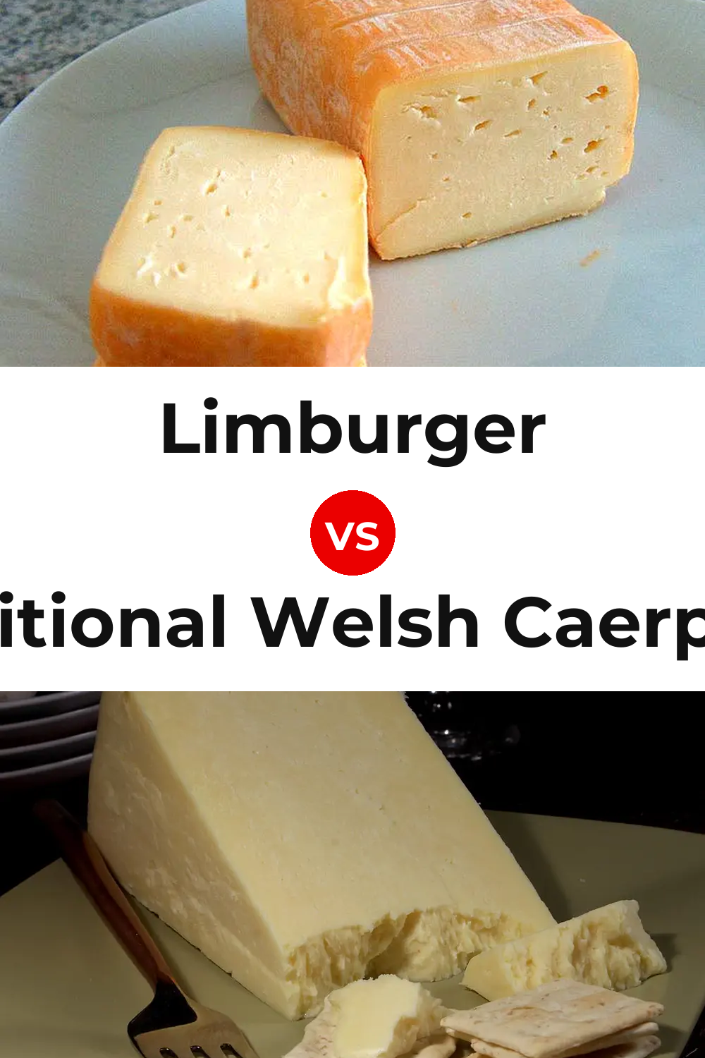 Limburger Cheese vs Traditional Welsh Caerphilly Cheese Pinterest comparison