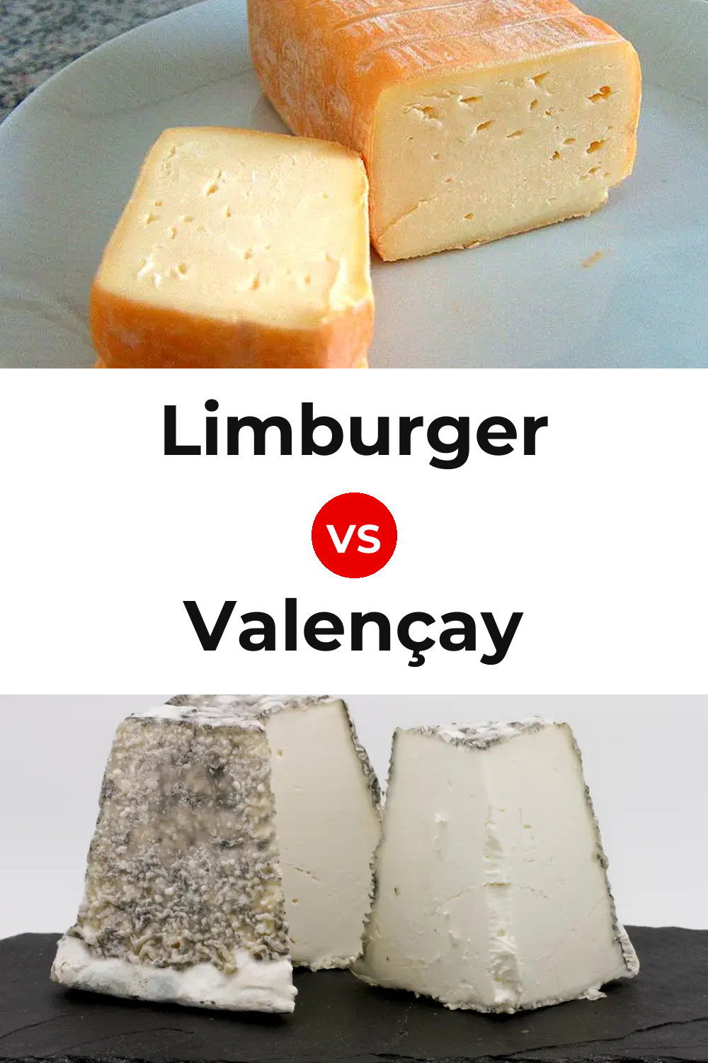 Limburger Cheese vs Valençay Cheese Pinterest comparison