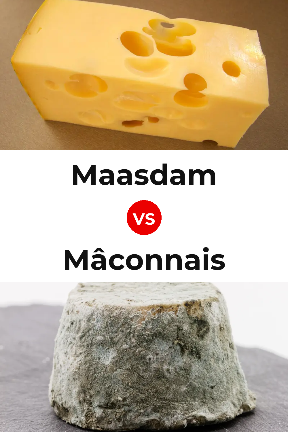 Maasdam Cheese vs Mâconnais Cheese Pinterest comparison