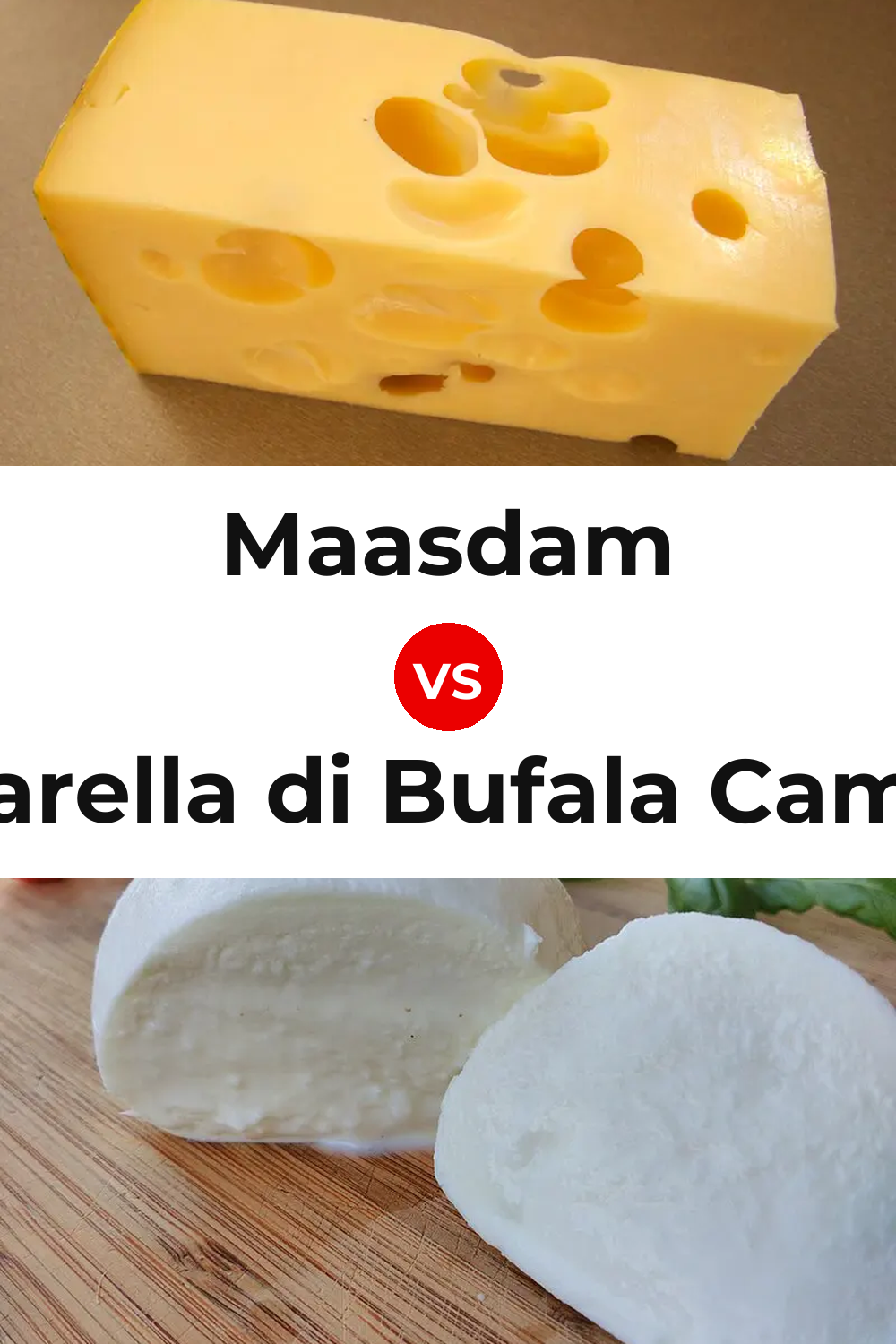 Maasdam Cheese vs Mozzarella di Bufala Campana Cheese Pinterest comparison