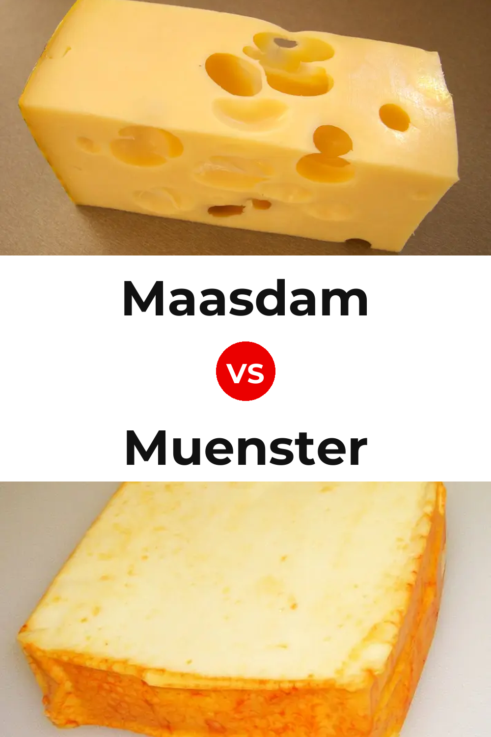 Maasdam Cheese vs Muenster Cheese Pinterest comparison