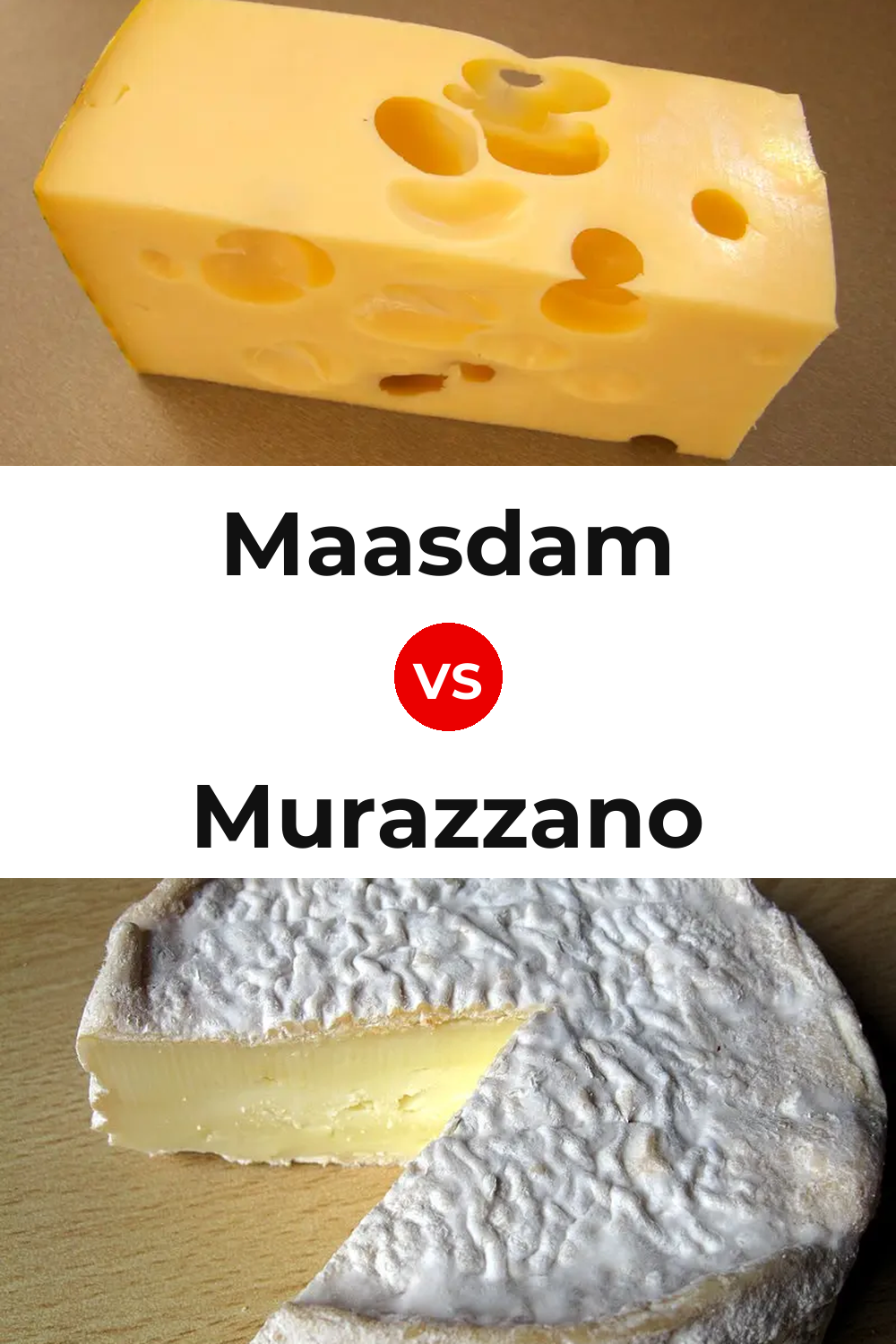 Maasdam Cheese vs Murazzano Cheese Pinterest comparison