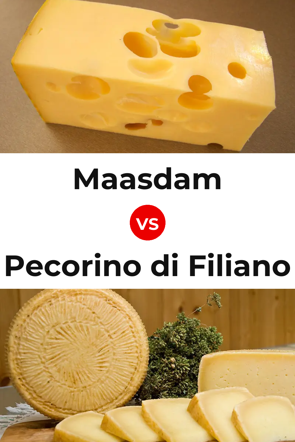 Maasdam Cheese vs Pecorino di Filiano Cheese Pinterest comparison