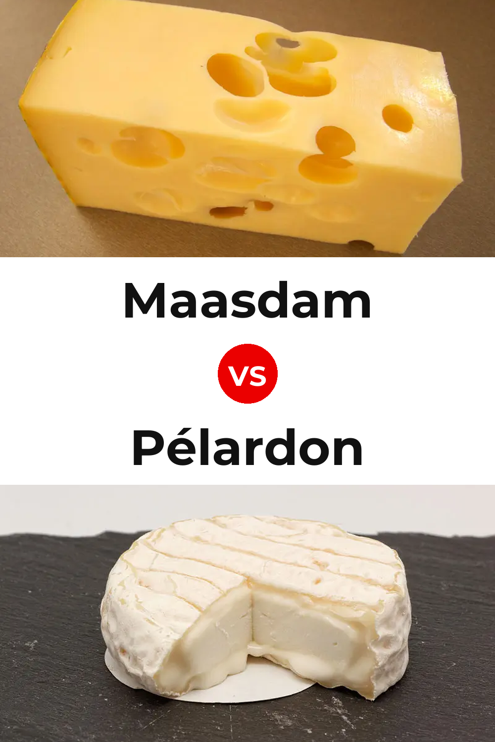 Maasdam Cheese vs Pélardon Cheese Pinterest comparison