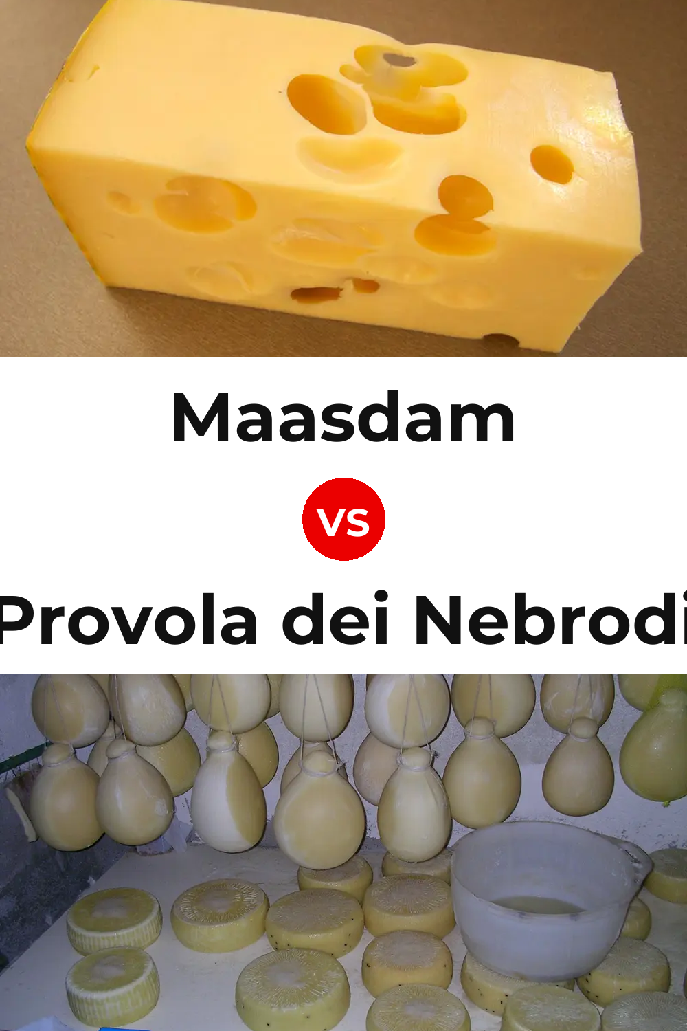 Maasdam Cheese vs Provola dei Nebrodi Cheese Pinterest comparison