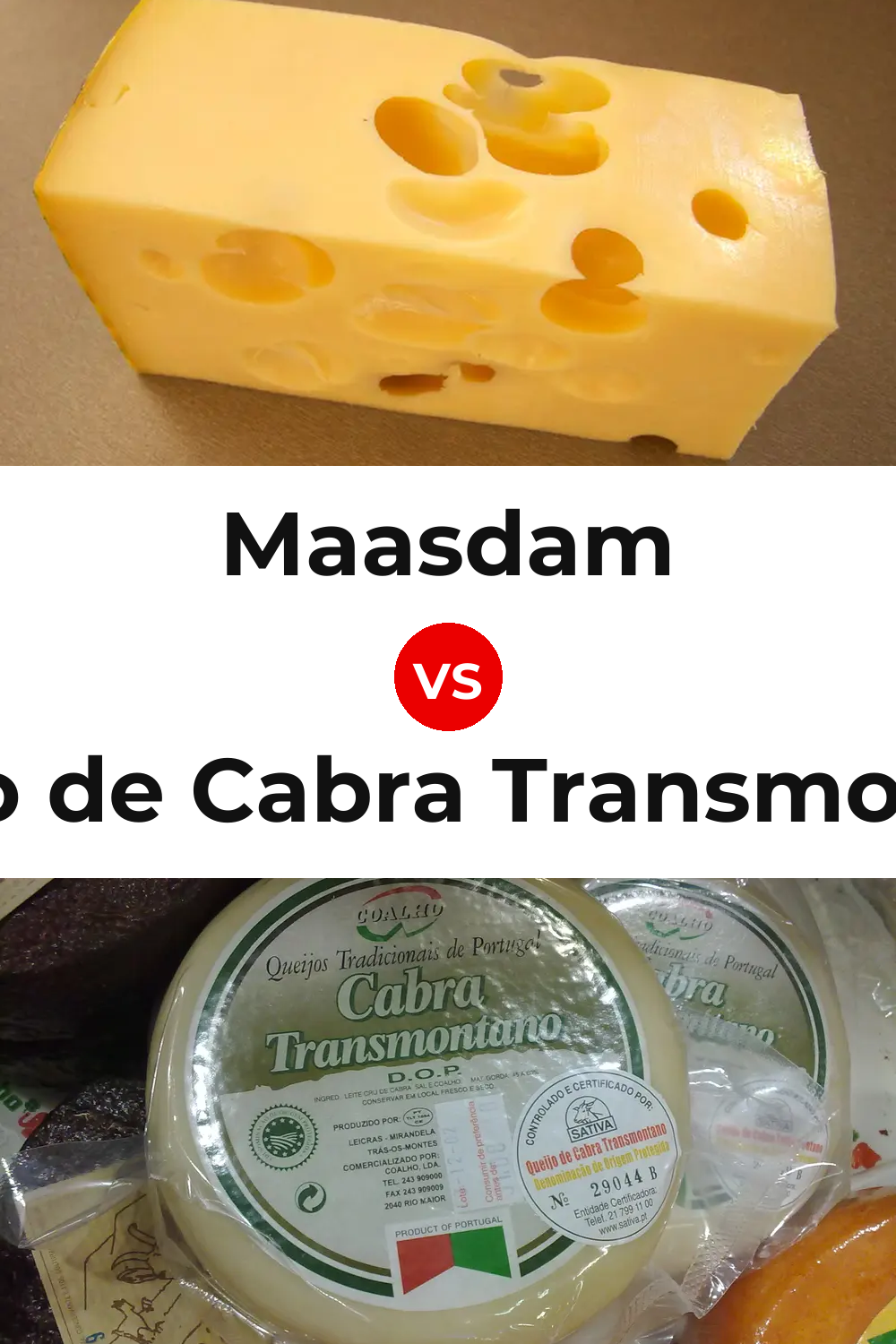 Maasdam Cheese vs Queijo de Cabra Transmontano Pinterest comparison
