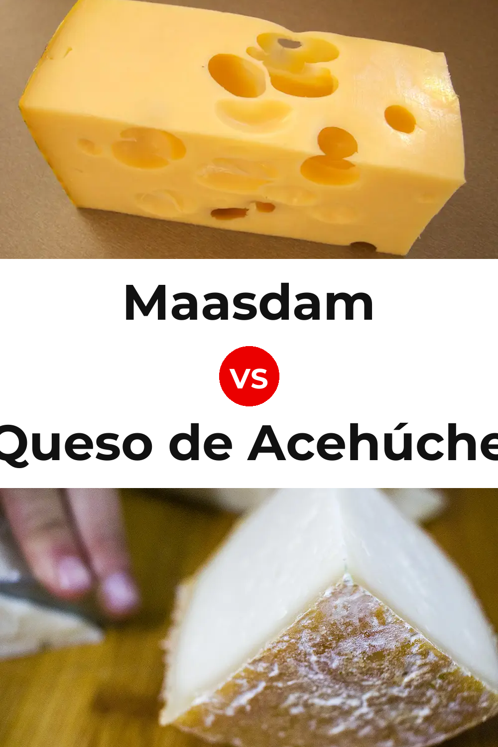 Maasdam Cheese vs Queso de Acehúche Pinterest comparison