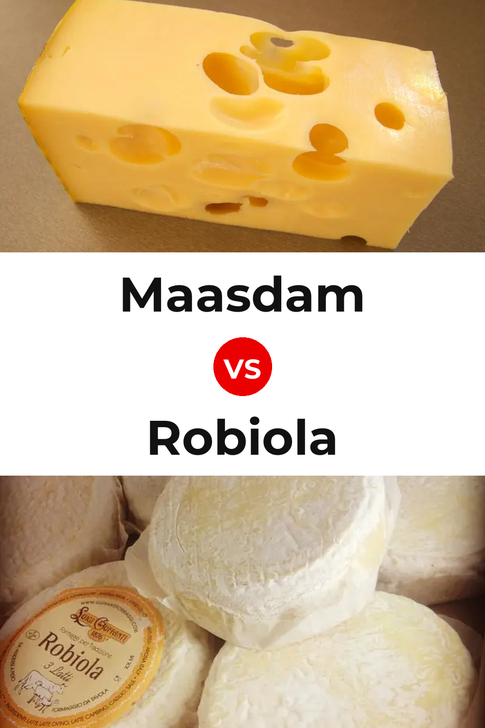 Maasdam Cheese vs Robiola Cheese Pinterest comparison