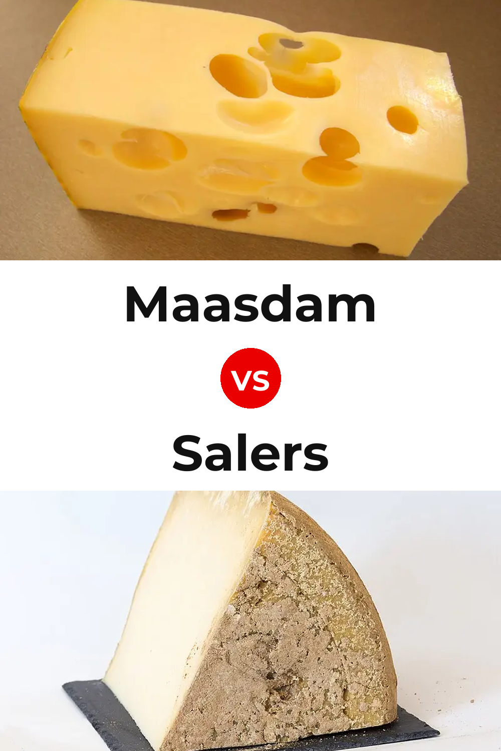 Maasdam Cheese vs Salers Cheese Pinterest comparison