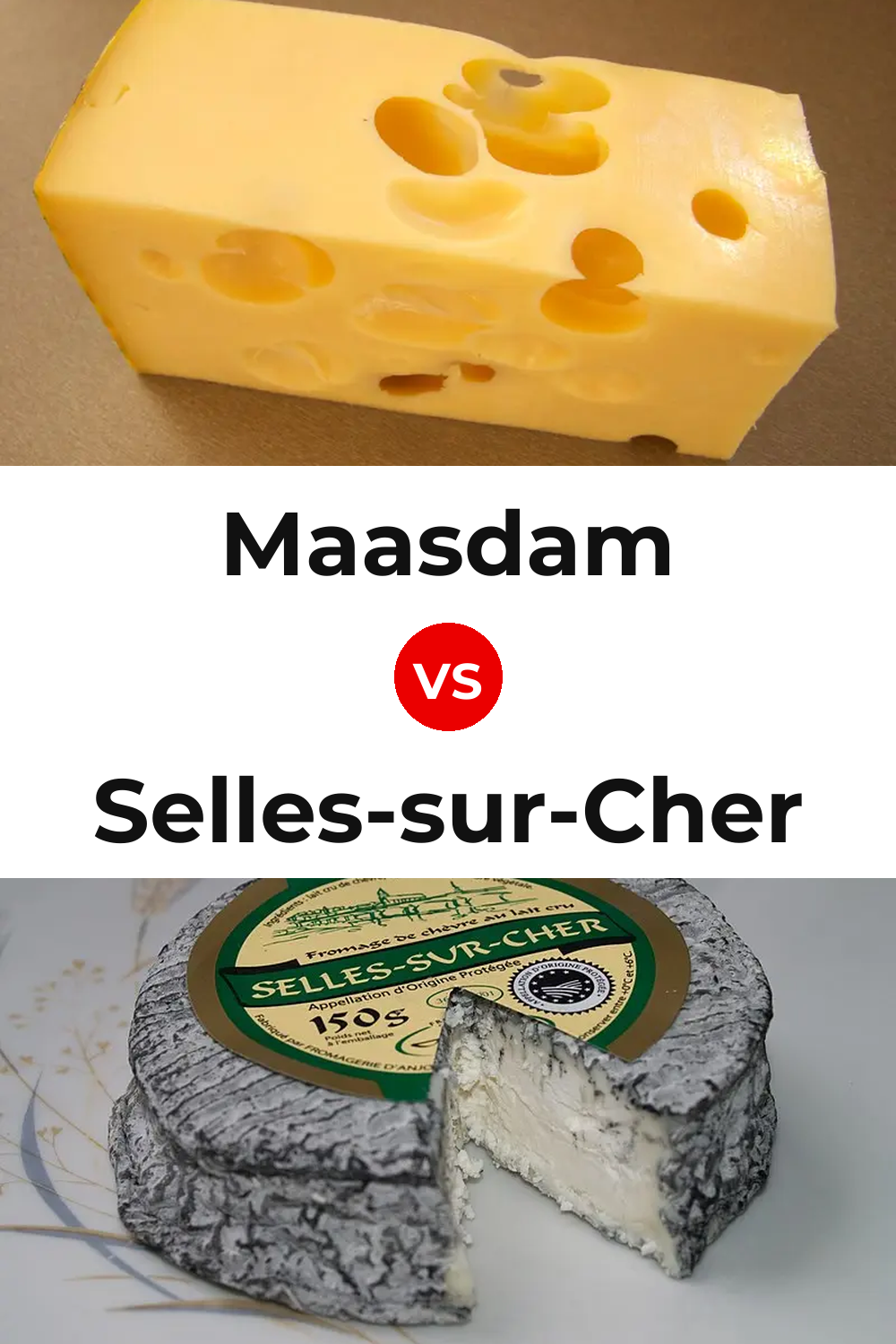 Maasdam Cheese vs Selles-sur-Cher Cheese Pinterest comparison