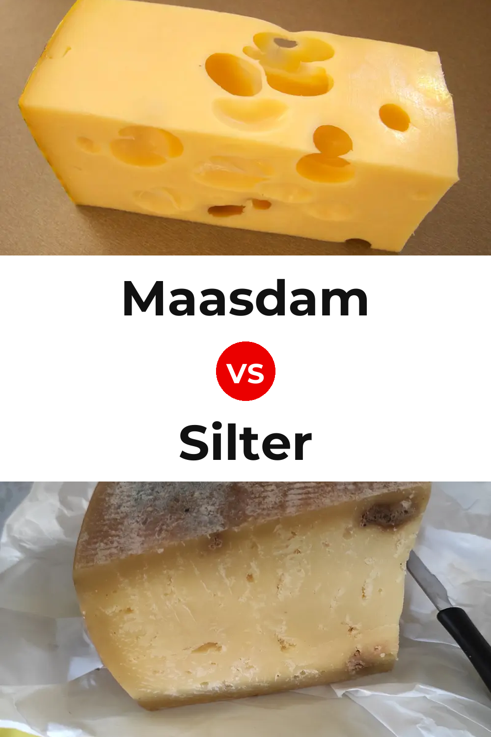 Maasdam Cheese vs Silter Cheese Pinterest comparison