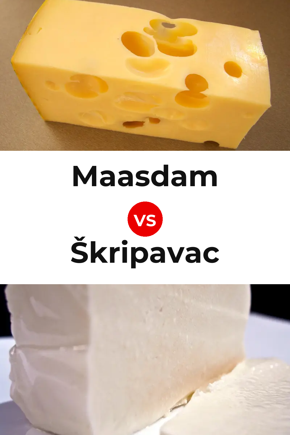Maasdam Cheese vs Škripavac Cheese Pinterest comparison