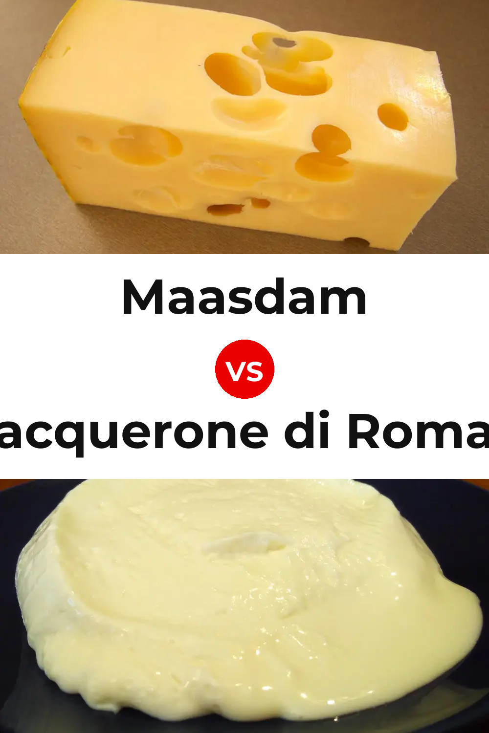 Maasdam Cheese vs Squacquerone di Romagna Cheese Pinterest comparison