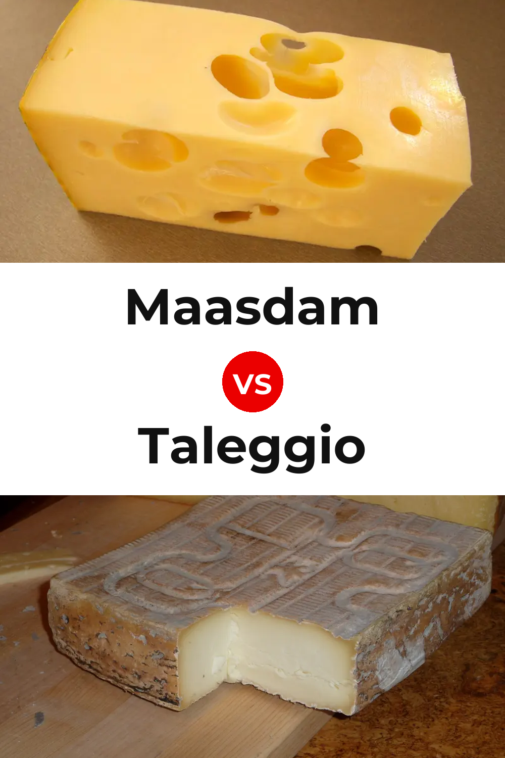 Maasdam Cheese vs Taleggio Cheese Pinterest comparison