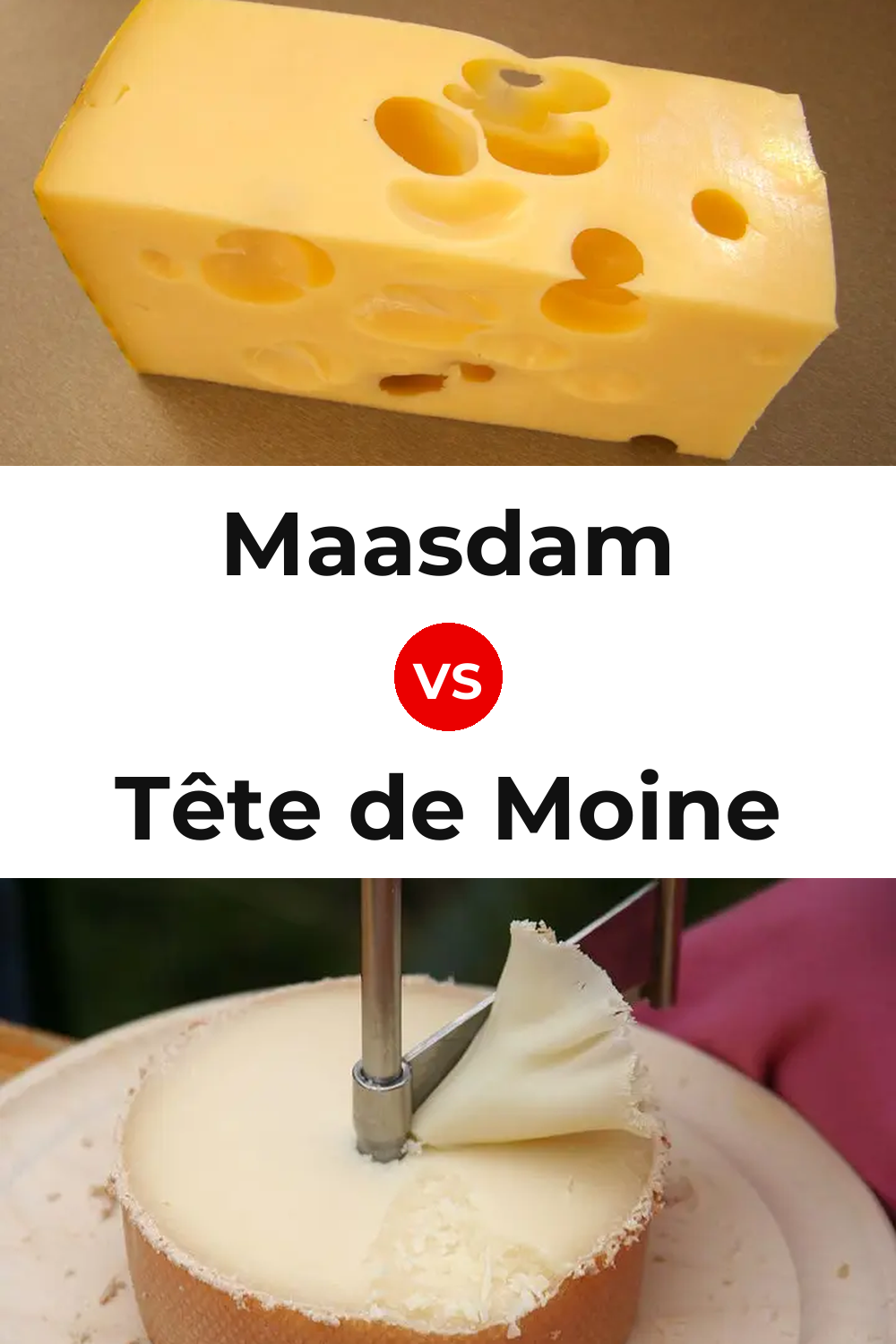 Maasdam Cheese vs Tête de Moine Cheese Pinterest comparison