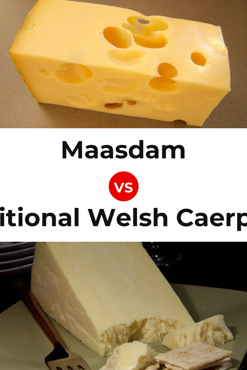Maasdam Cheese vs Traditional Welsh Caerphilly Cheese Pinterest comparison