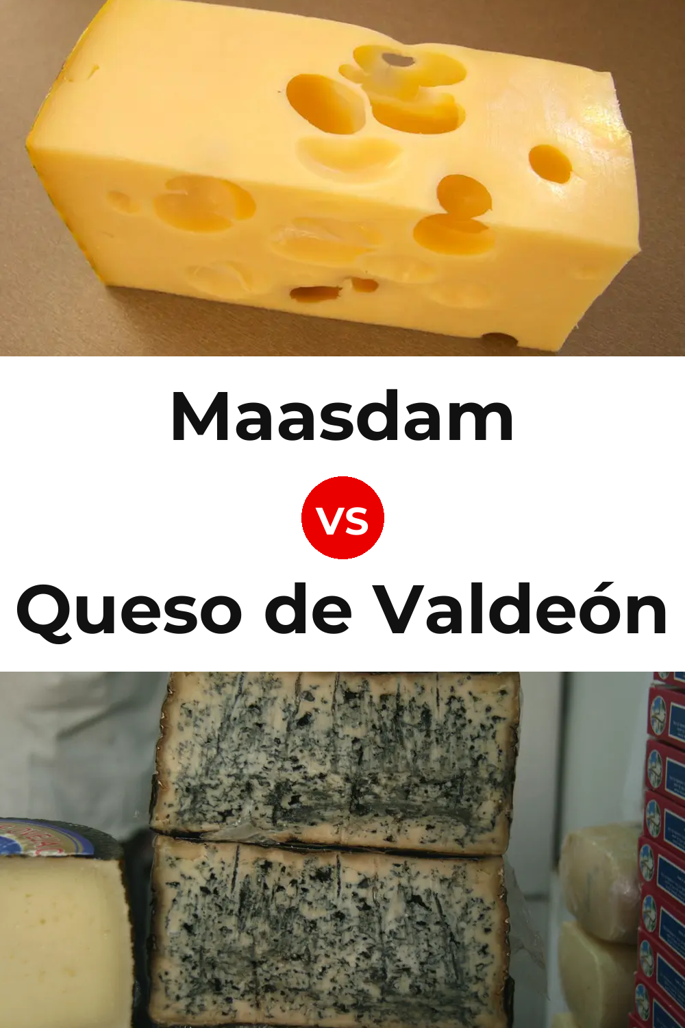 Maasdam Cheese vs Queso de Valdeón Pinterest comparison