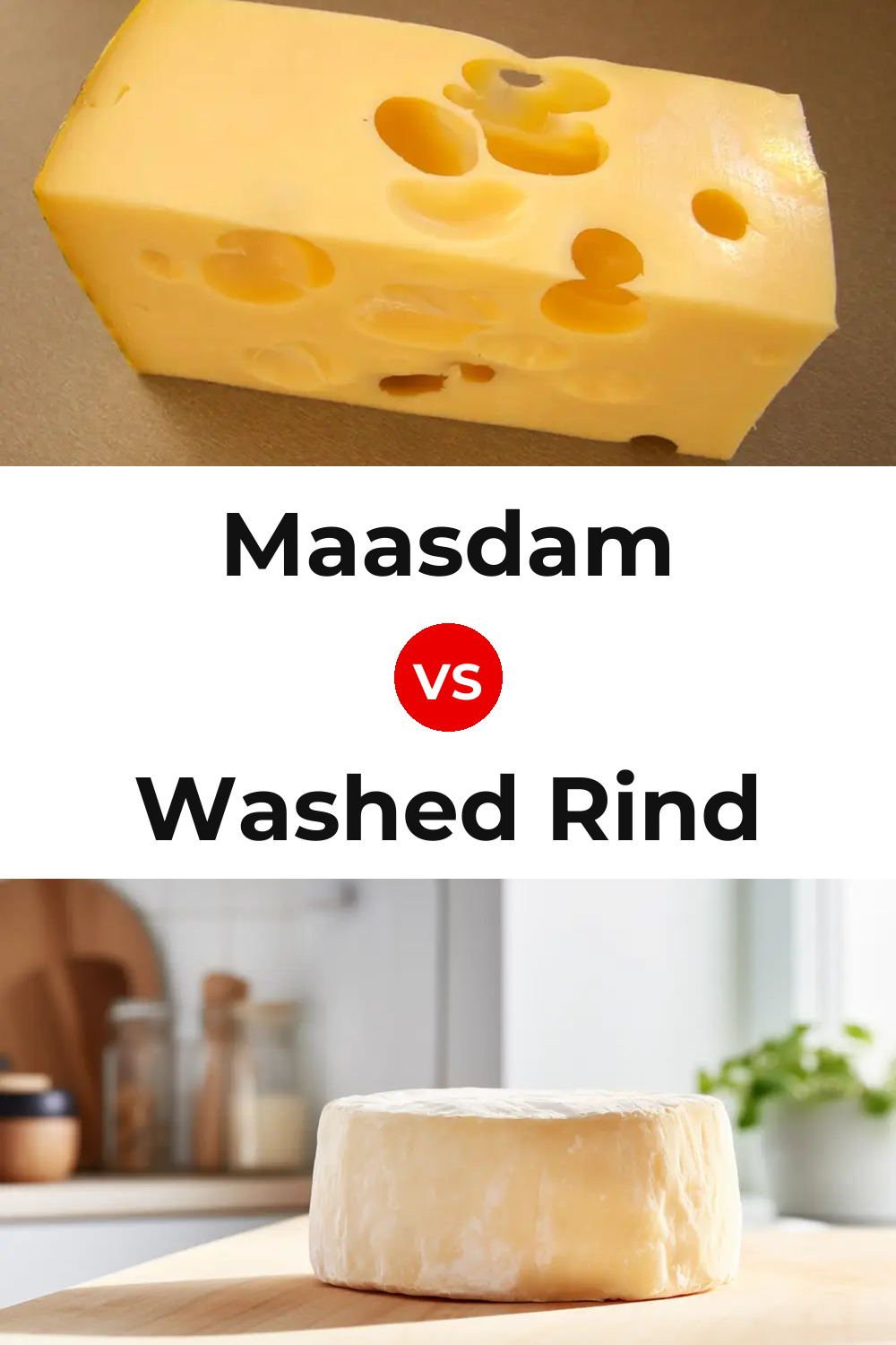 Maasdam Cheese vs Washed Rind Cheese Pinterest comparison
