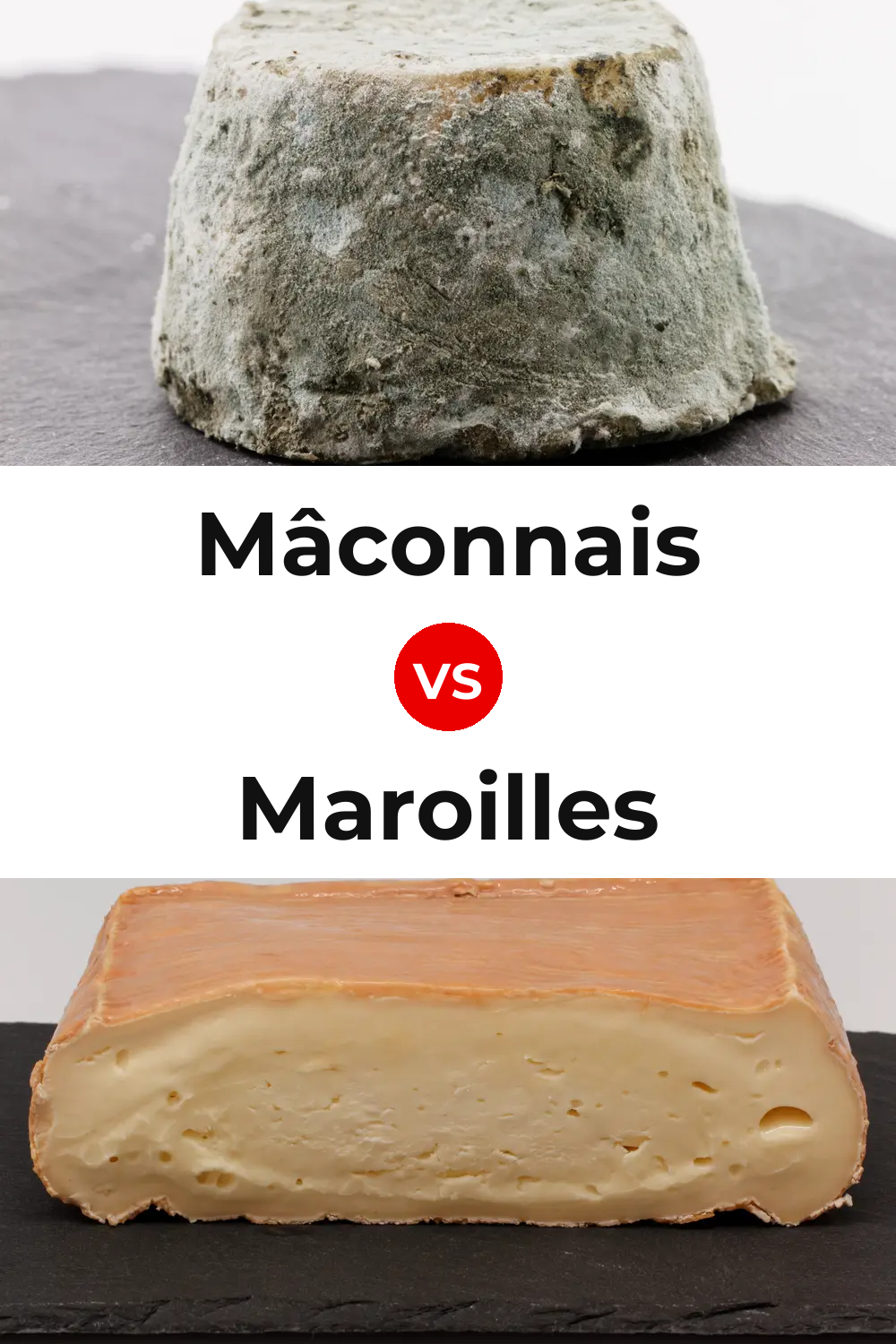 Mâconnais Cheese vs Maroilles Cheese Pinterest comparison