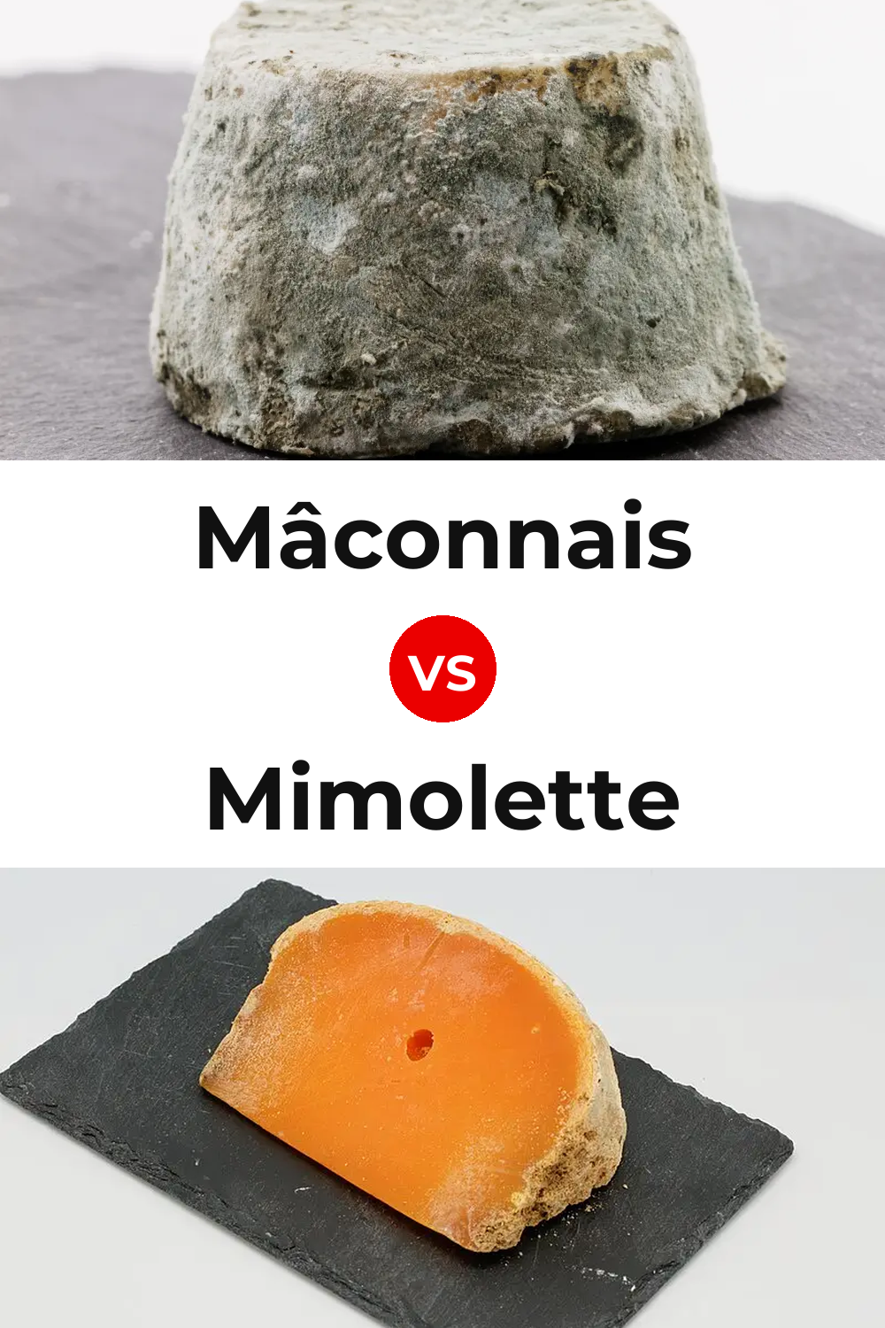Mâconnais Cheese vs Mimolette Cheese Pinterest comparison