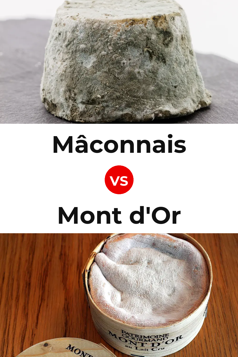 Mâconnais Cheese vs Mont d'Or Cheese Pinterest comparison