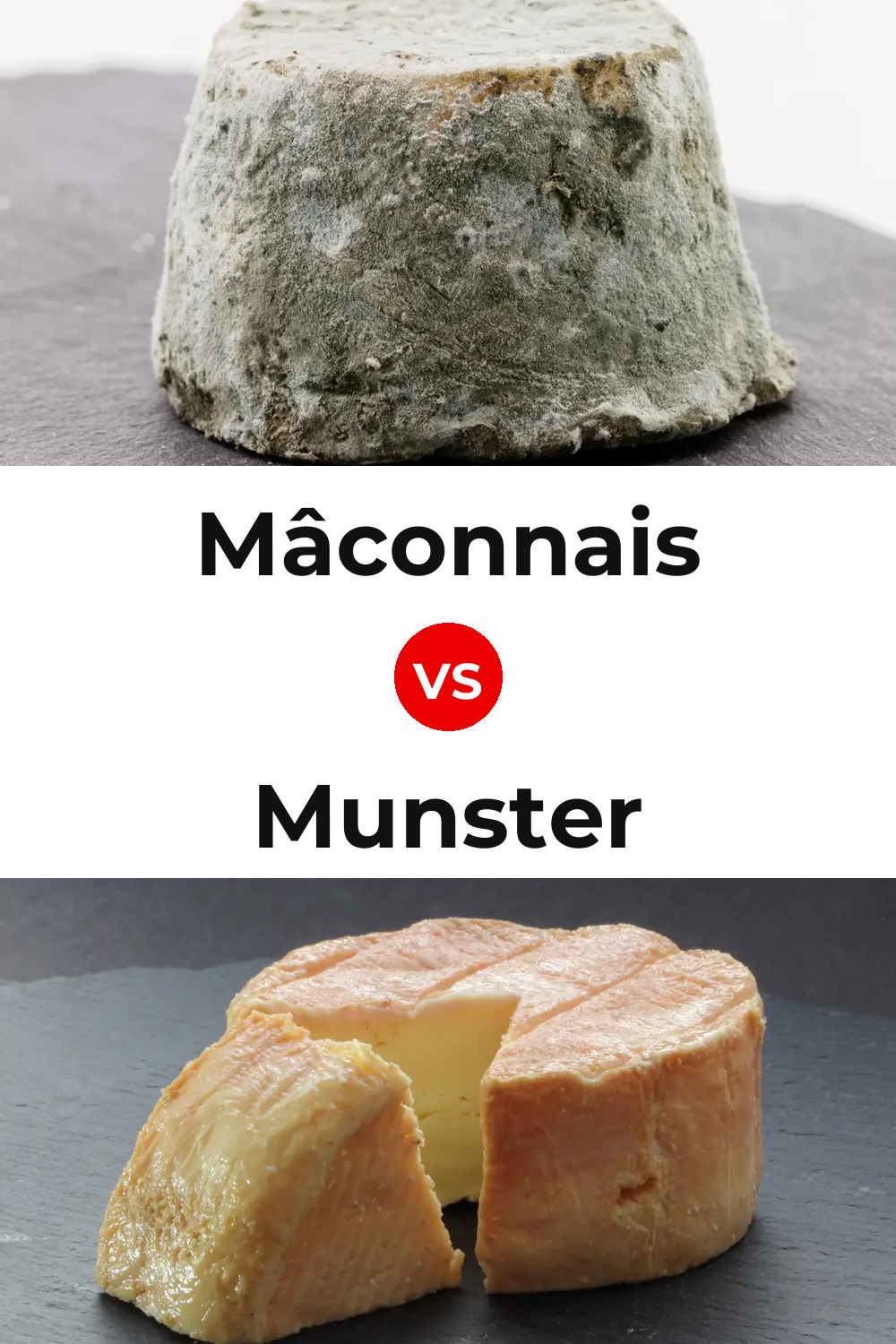 Mâconnais Cheese vs Munster Cheese Pinterest comparison
