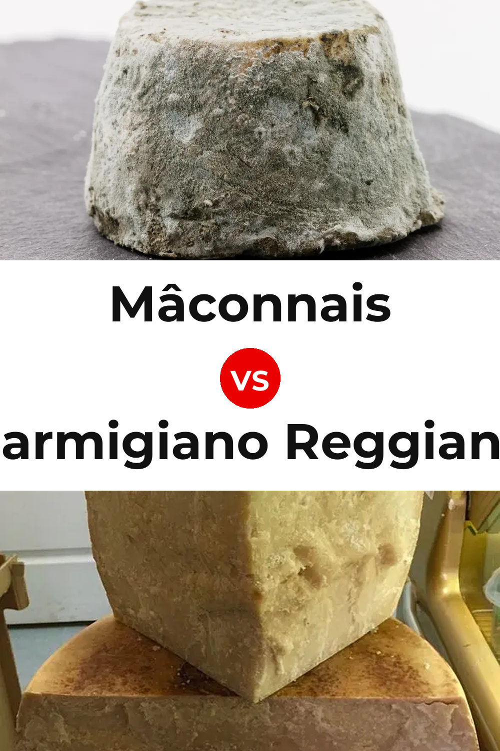 Mâconnais Cheese vs Parmigiano Reggiano Cheese Pinterest comparison