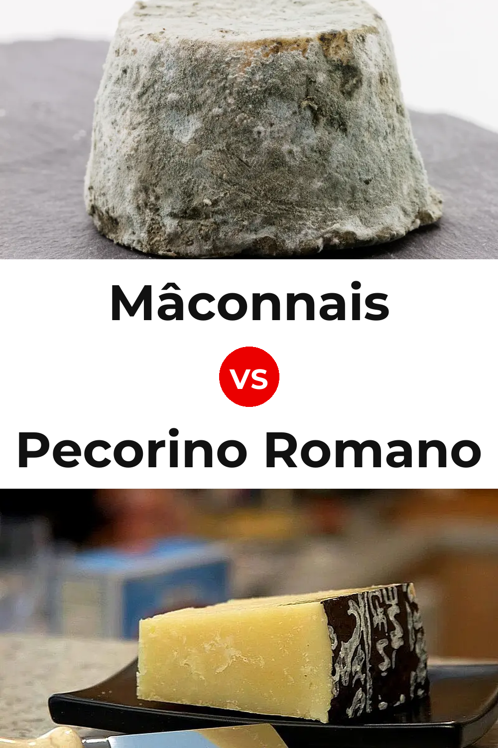 Mâconnais Cheese vs Pecorino Romano Cheese Pinterest comparison