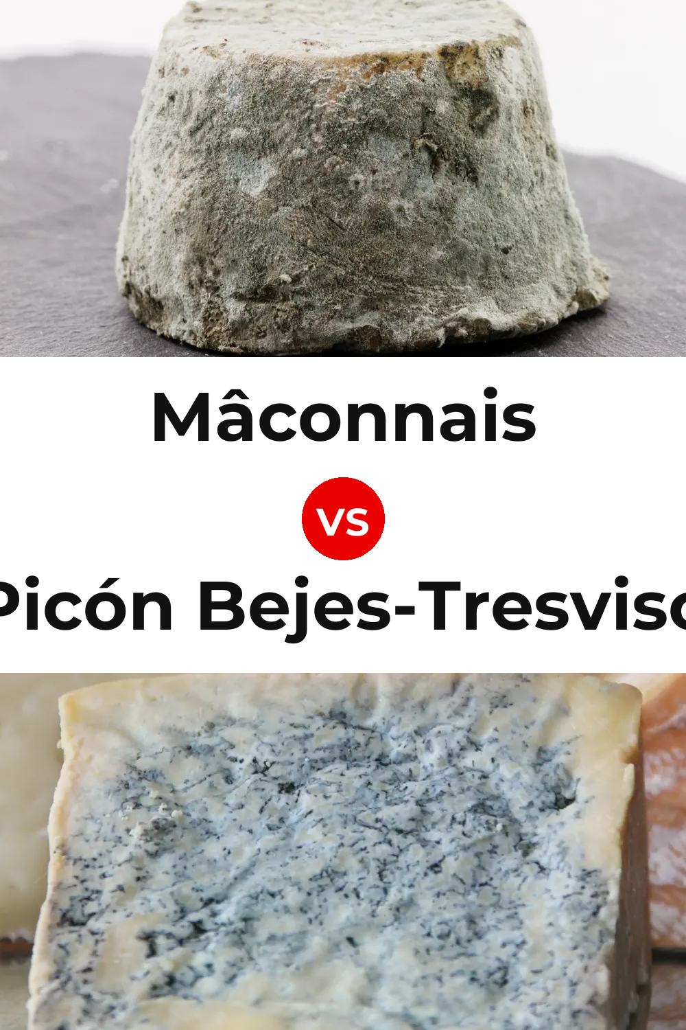 Mâconnais Cheese vs Picón Bejes-Tresviso Cheese Pinterest comparison