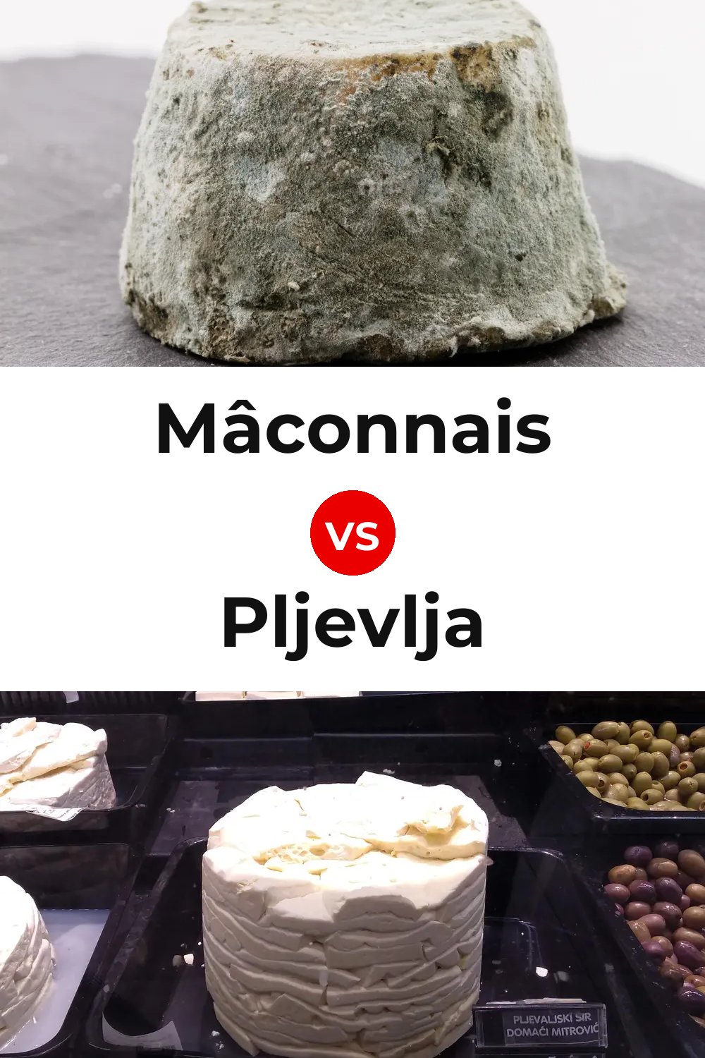 Mâconnais Cheese vs Pljevlja Cheese Pinterest comparison