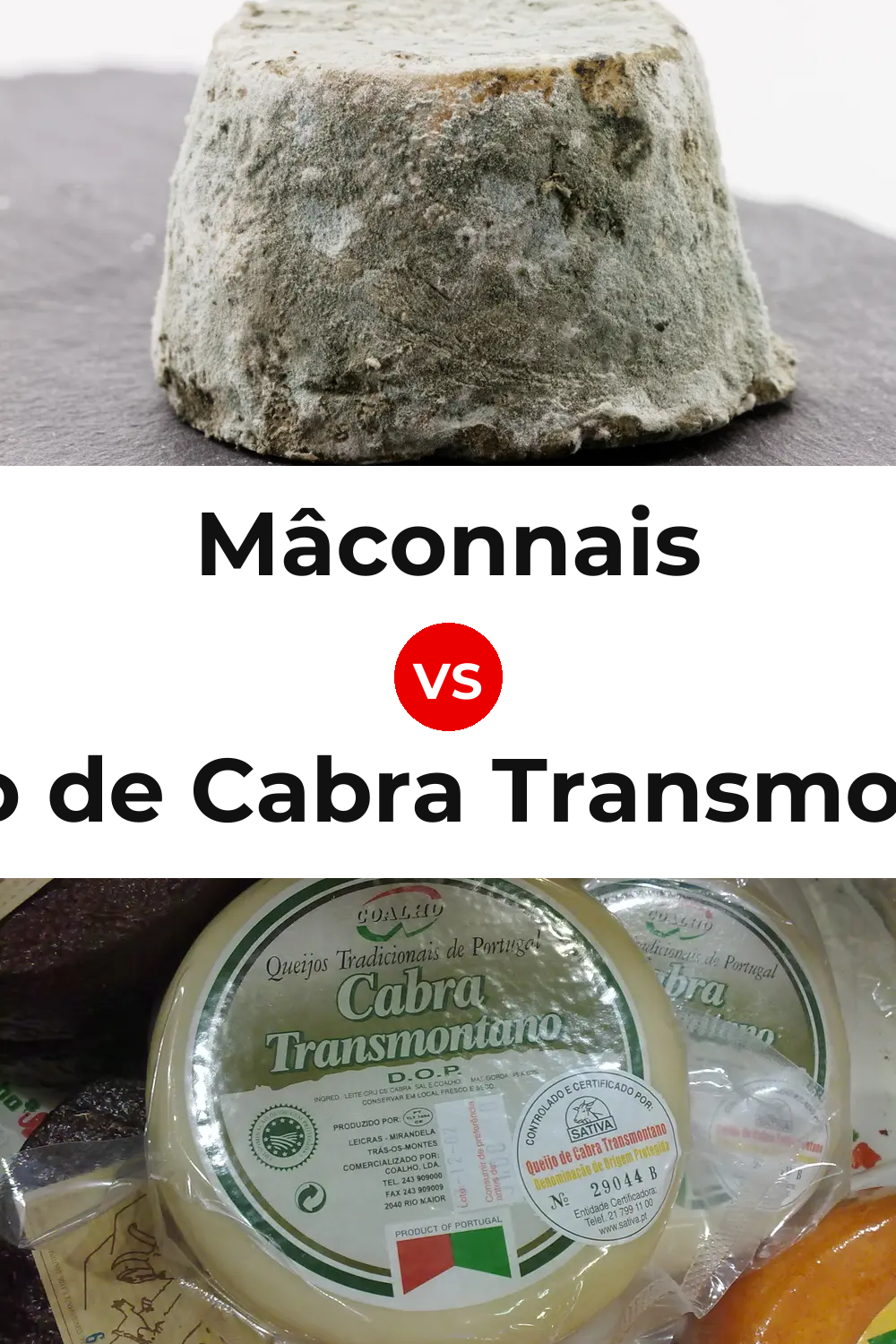 Mâconnais Cheese vs Queijo de Cabra Transmontano Pinterest comparison