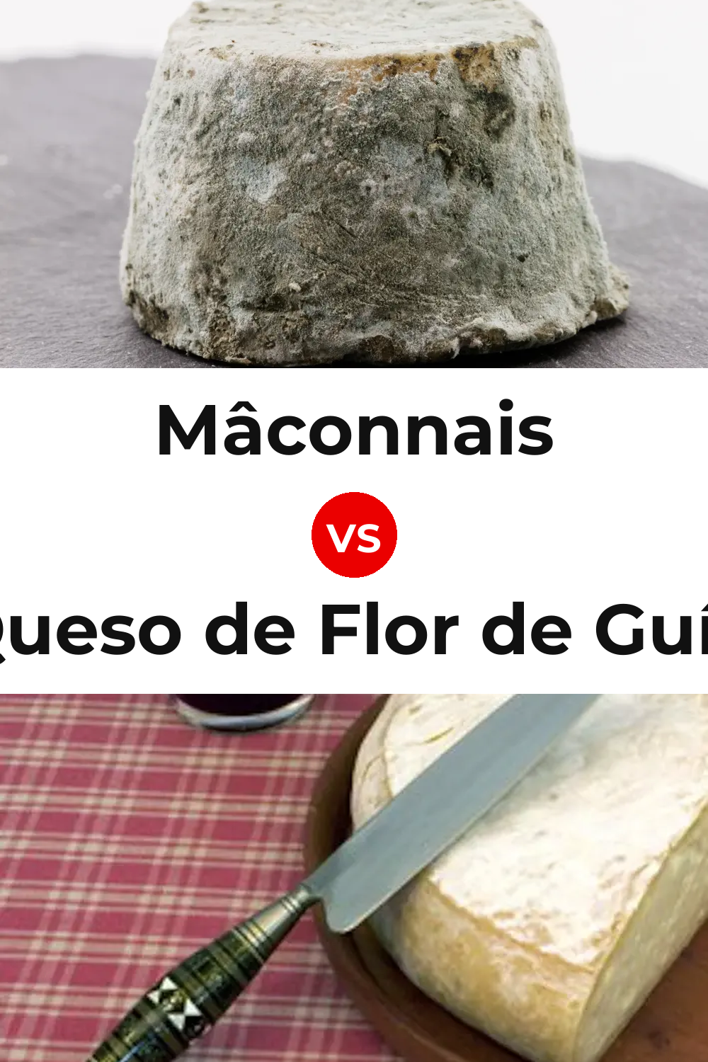 Mâconnais Cheese vs Queso de Flor de Guía Pinterest comparison