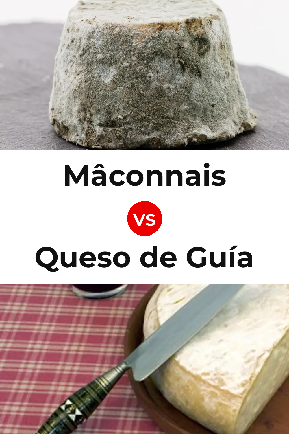 Mâconnais Cheese vs Queso de Guía Pinterest comparison