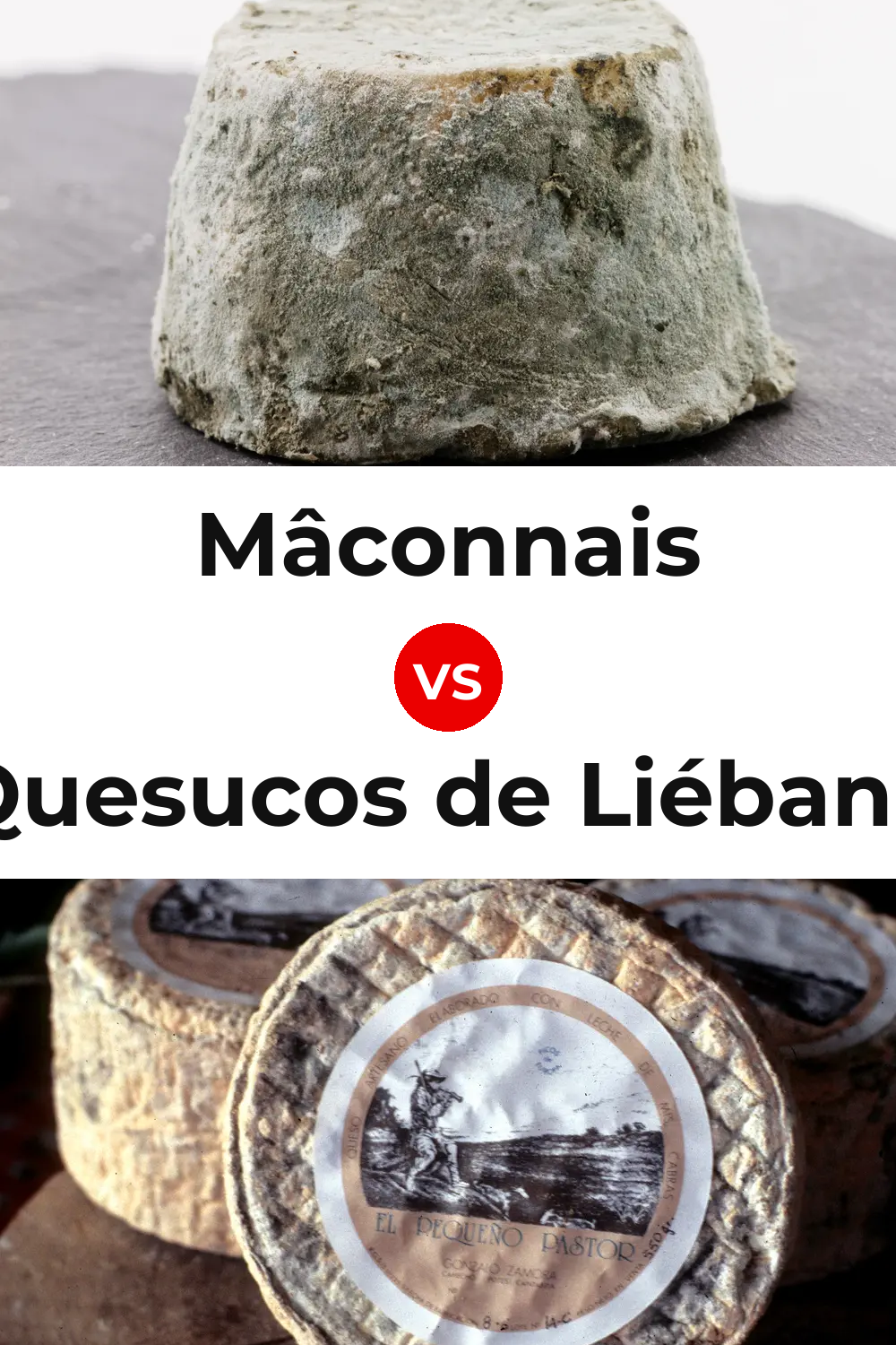 Mâconnais Cheese vs Quesucos de Liébana Cheese Pinterest comparison