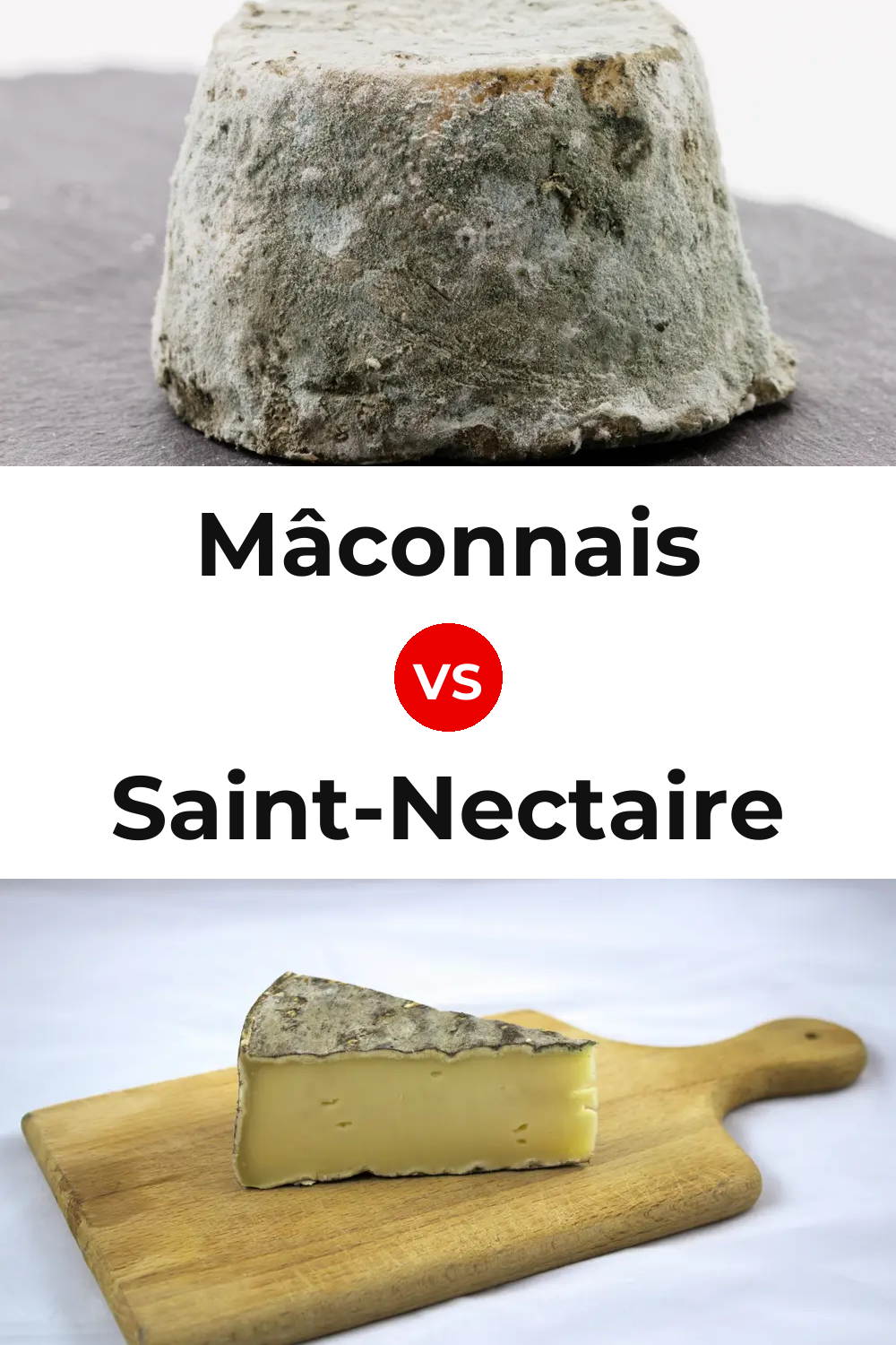 Mâconnais Cheese vs Saint-Nectaire Cheese Pinterest comparison