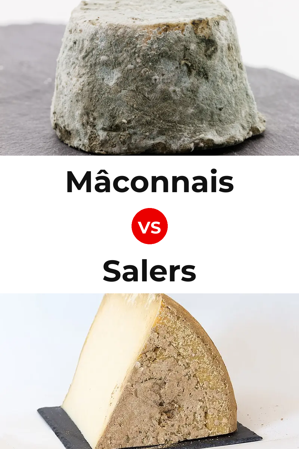 Mâconnais Cheese vs Salers Cheese Pinterest comparison