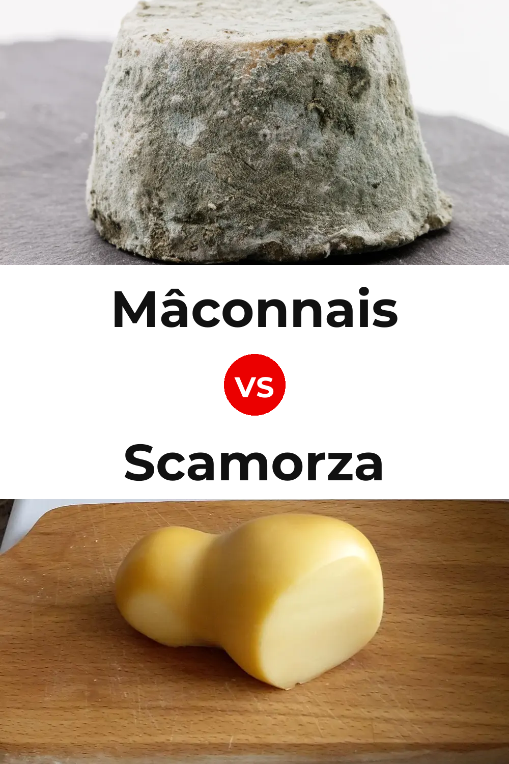 Mâconnais Cheese vs Scamorza Cheese Pinterest comparison